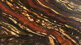 Polished Tiger Iron Stromatolite - ( Billion Years) #38913-1